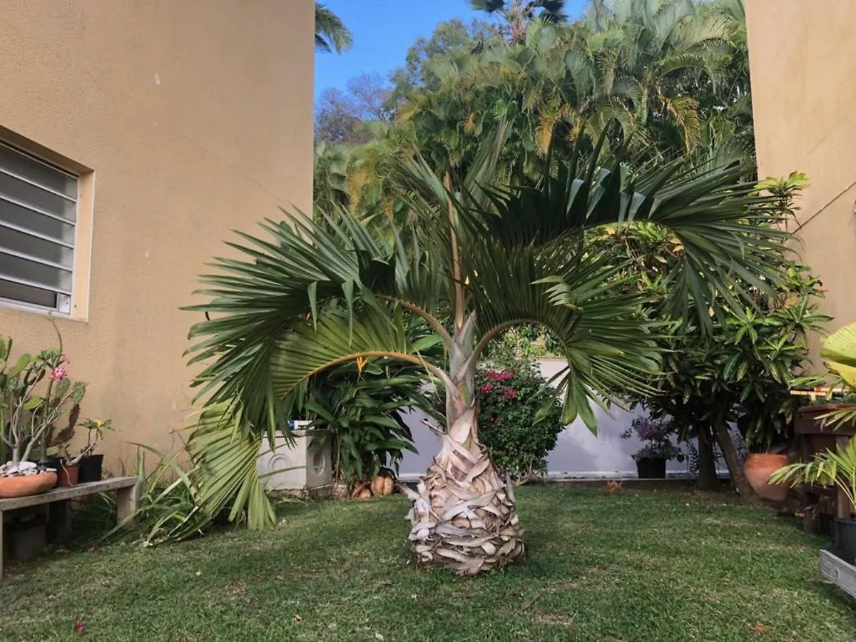 Appart-97290- Vue Magnifique Sur Mer Le Marin