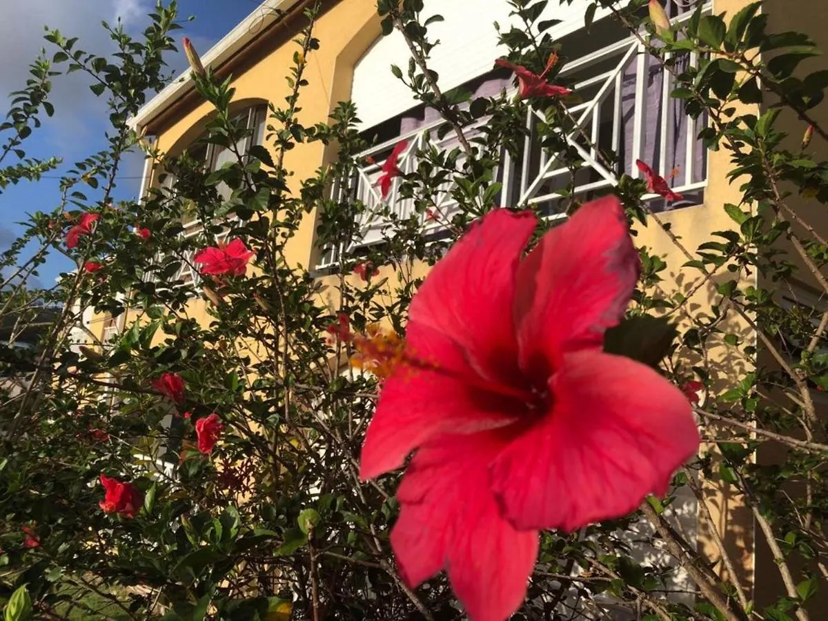 Appart-97290- Vue Magnifique Sur Mer Le Marin Martinique