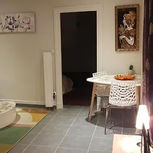 Bel Moderne Appartement Roanne